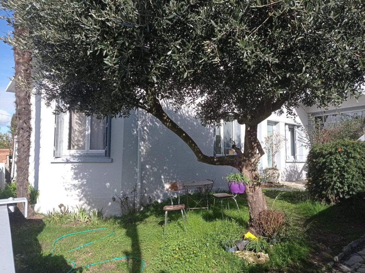 Meublée Indépendante, Avec Piscine, Pour 2 Personnes Appartement Toulouse